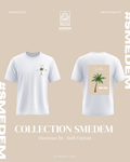 SMEDEM